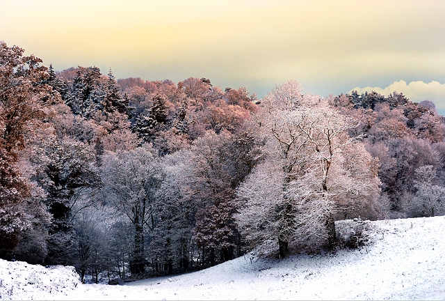 Paysage18_12_10 n01.jpg - .